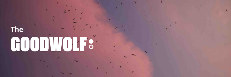 Email Banner-1