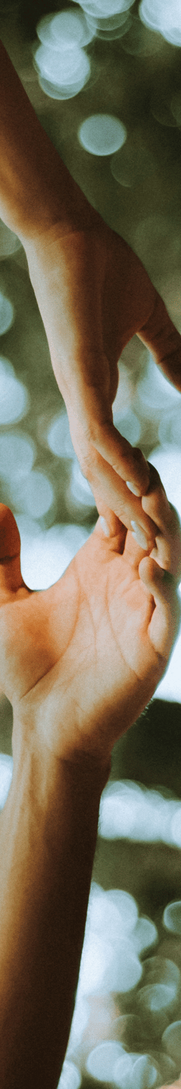 Vertical banner showing two hands holding in front of leafy background